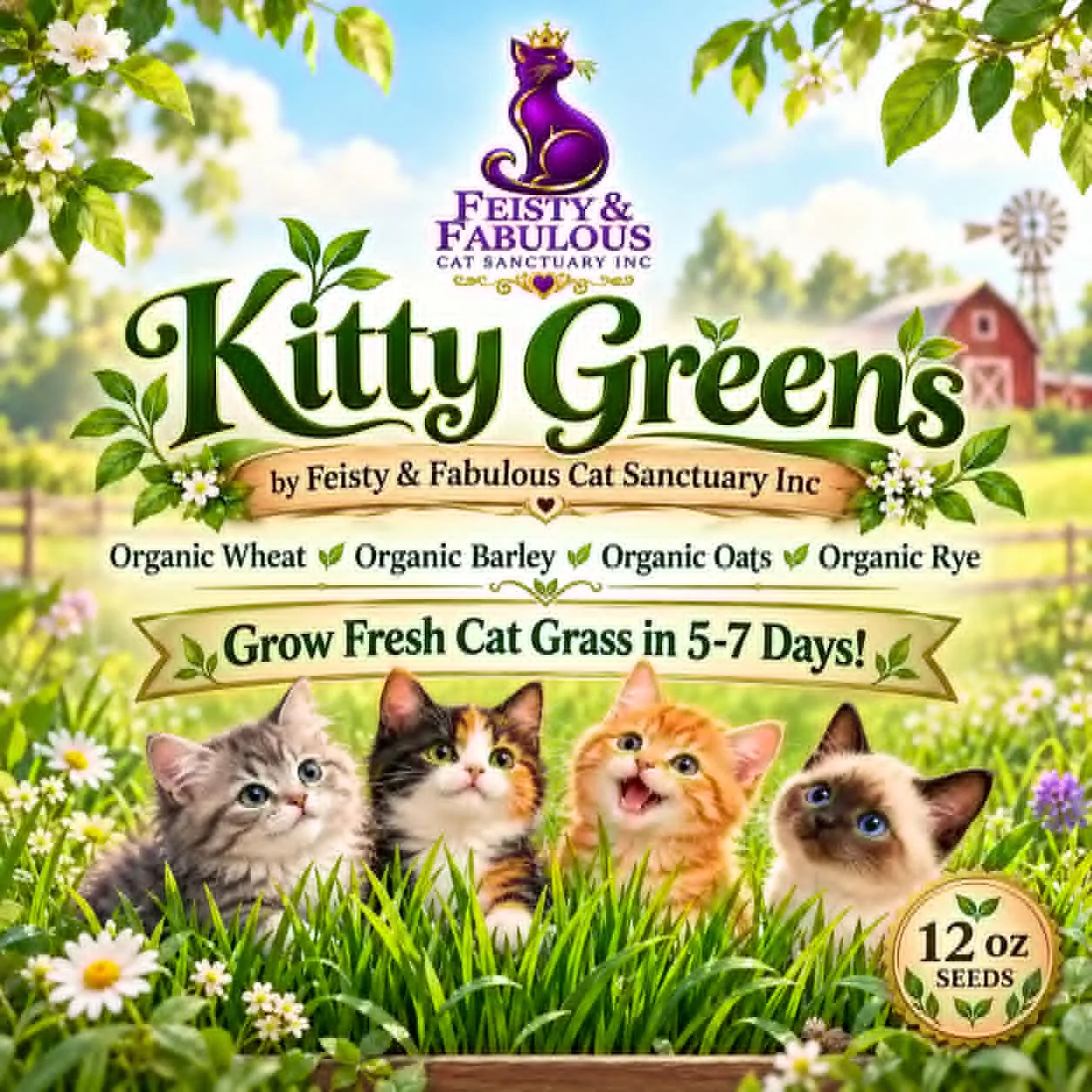 Kitty Greens organic cat grass seed package with illustrated kittens.